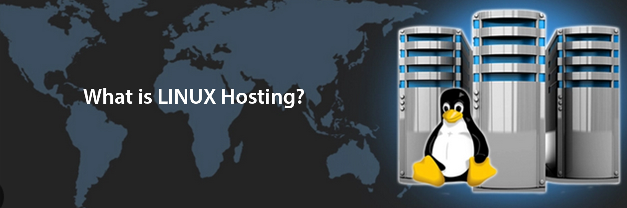 What is Linux Hosting