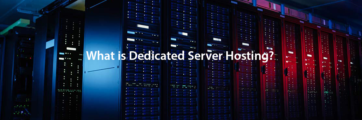 What is Dedicated Server Hosting